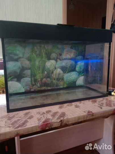 Аквариум