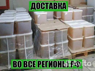 Мёд Оптом с Алтая