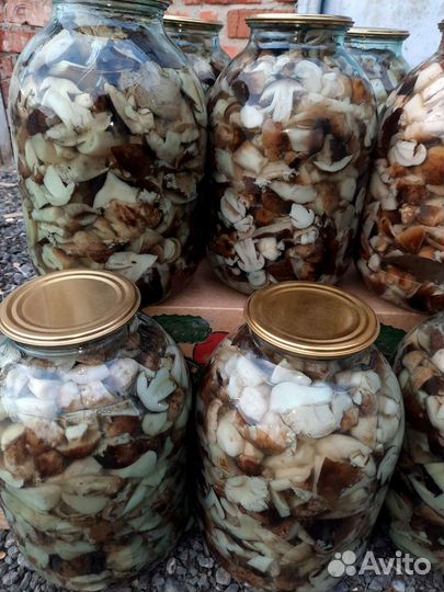 Грибы Валуи