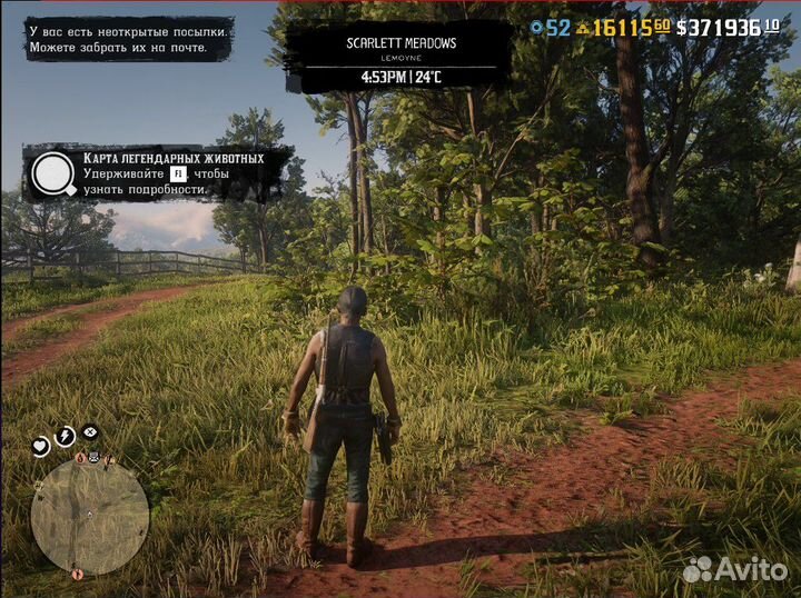 RDR2 Online 38к Слитки 3млн Деньги 250LVL Роли RDO