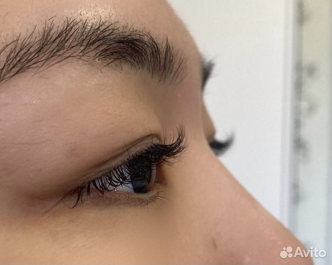 Лешмейкер бровист