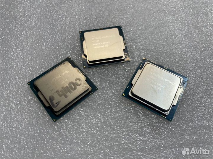 Процессоры intel Celeron 1151
