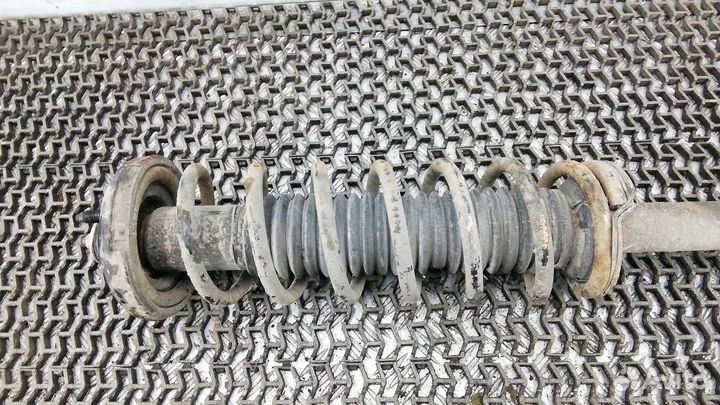 Стойка амортизатора заднего правого Honda Accord