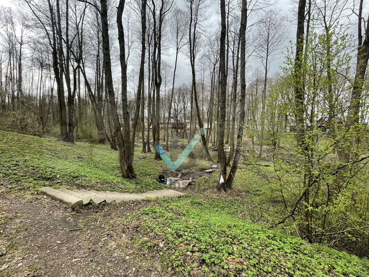 Участок 5,88 га (ИЖС)