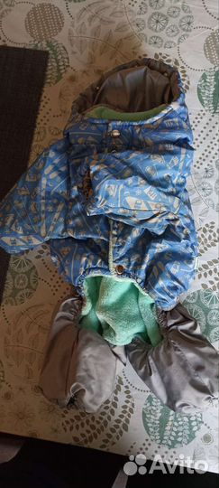 Одежда для средних собак