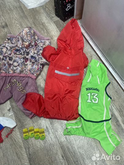 Одежда для собак L-2XL