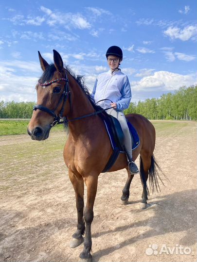 Катание на лошадях в Нижнем Новгороде,прокат