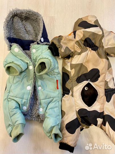 Вещи для маленькой собачки и одежда