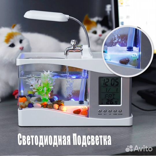 Личный Мини аквариум (новый)