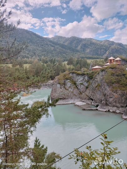Поездка в горный Алтай