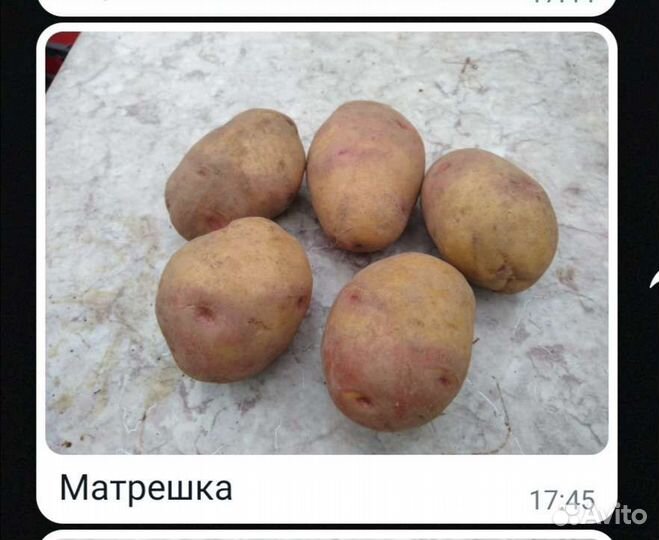 Картошка продажа