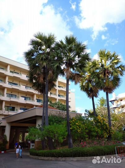 Отзыв про тур в Тайланд