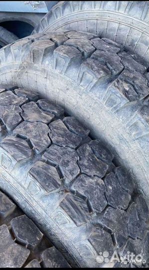 Шины газ 53