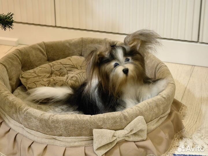 Реалистичный щенок йоркширского терьера