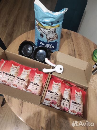 Влажный корм для кошек