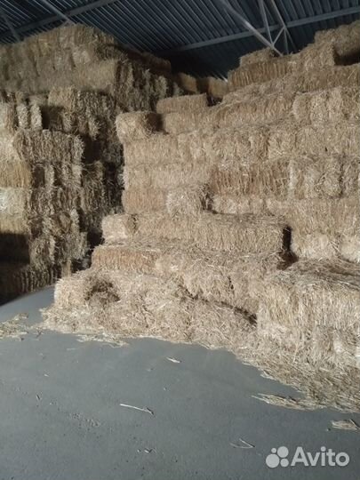 Тюки соломы пшеничной и ячменной