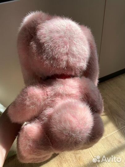 Зайцы Piglette