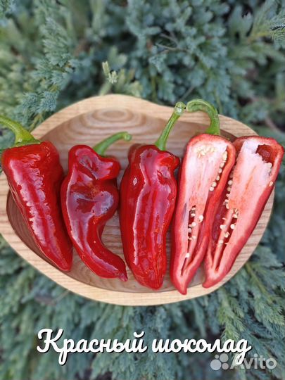 Семена коллекционных перцев