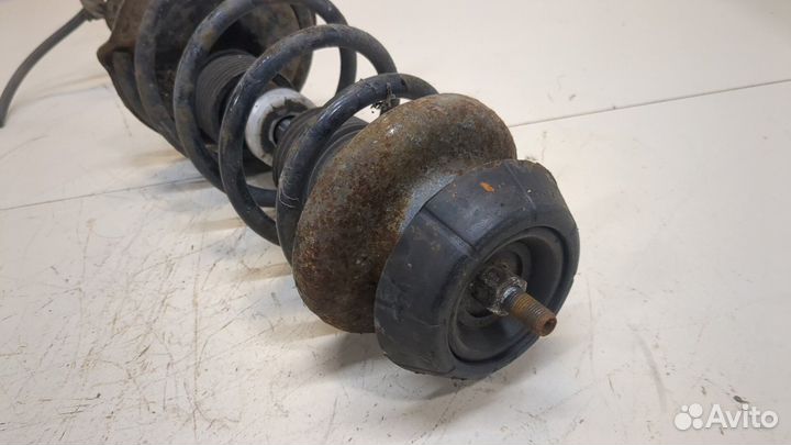 Амортизатор подвески Opel Agila, 2008