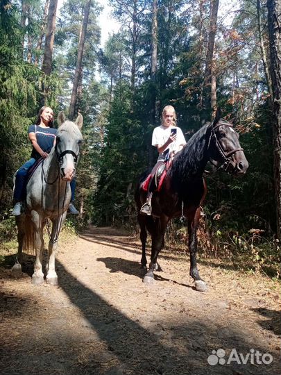 Катание на лошадях