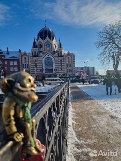 Индивидуальные экскурсии на косу. Гид Калининград