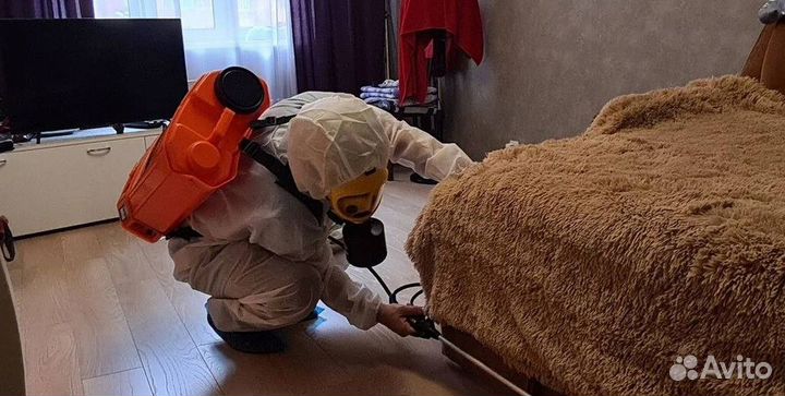 Средство для Уничтожения клопов тараканов плесени клещей