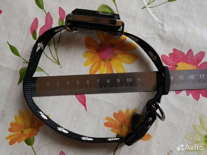 Gps ошейник