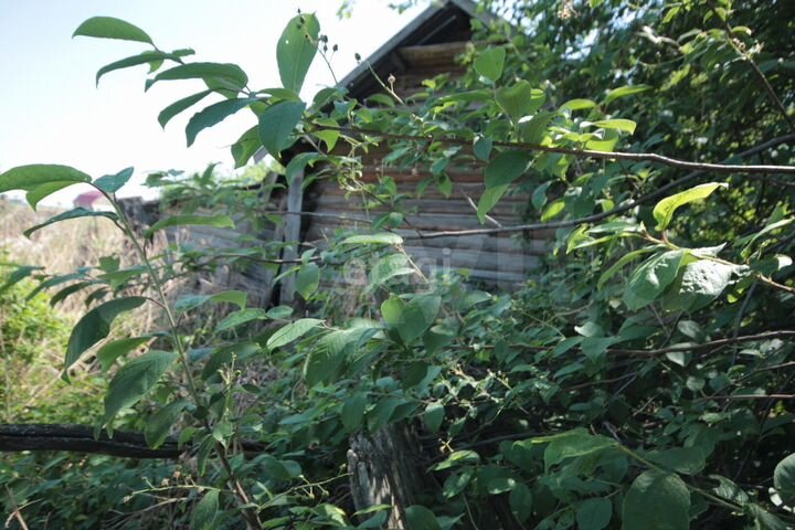 Дом 22,5 м² на участке 38 сот.