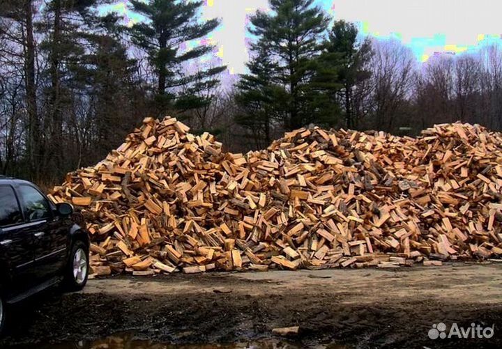Дрова ольха осина береза