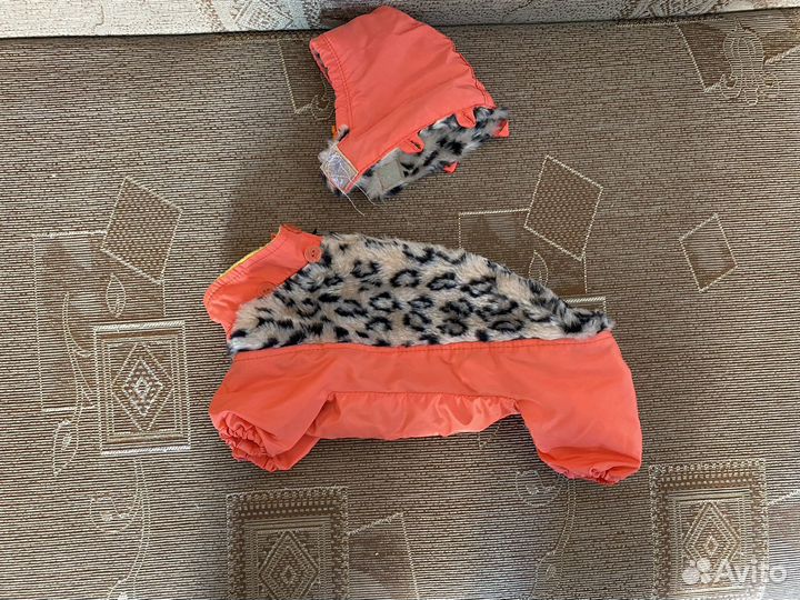 Одежда для маленьких собак