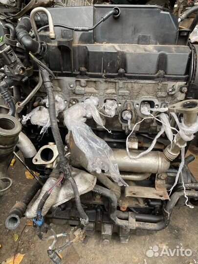 Двигатель Passat B6 1.9 2006-2007 BLS