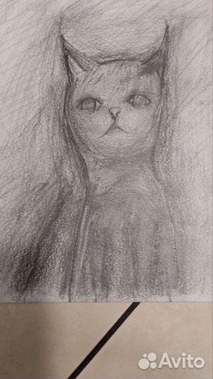 Картина постер кошка кот портрет рисунок карандаш