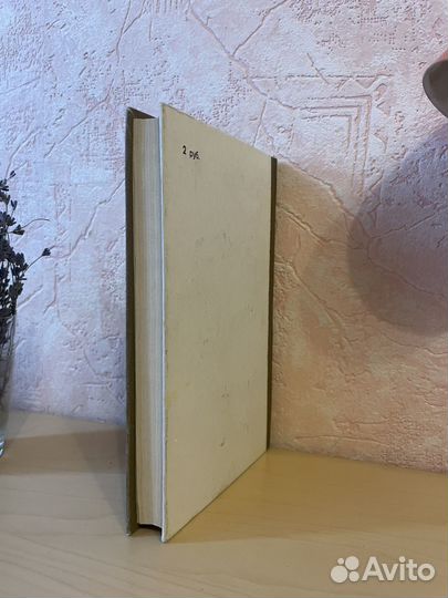 Л. Л. Арестова: Последняя улика 1989г