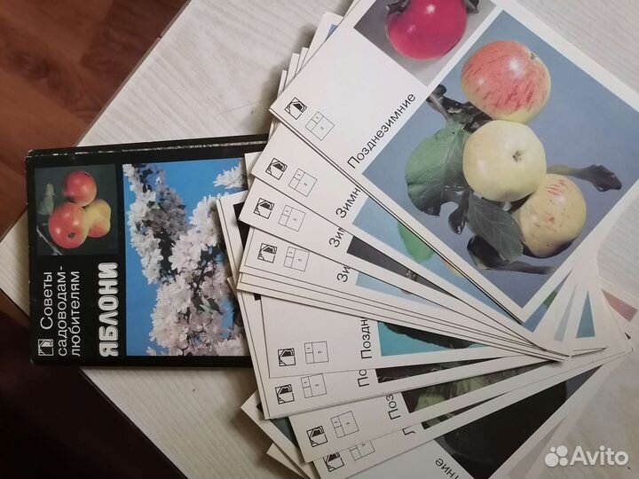 Набор открыток СССР