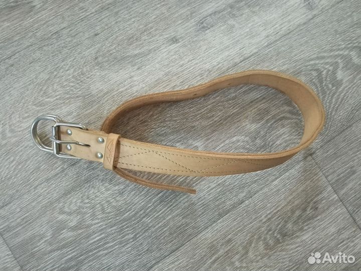 Ошейник для собак