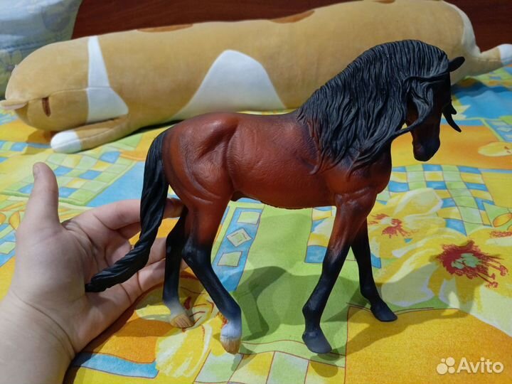 Лошади collecta