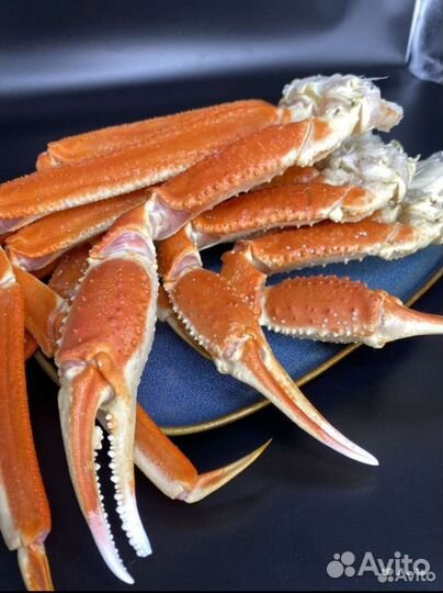 Краб Стригун