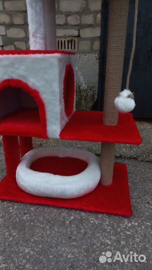 Когтеточка новая