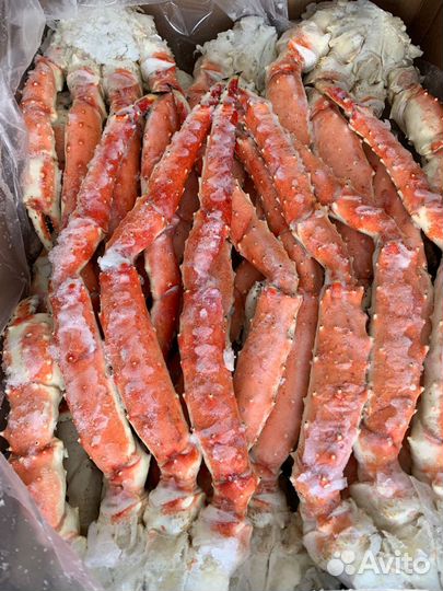 Краб камчатский морепродукты фаланга гребешок