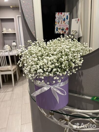 Гипсофила в коробке