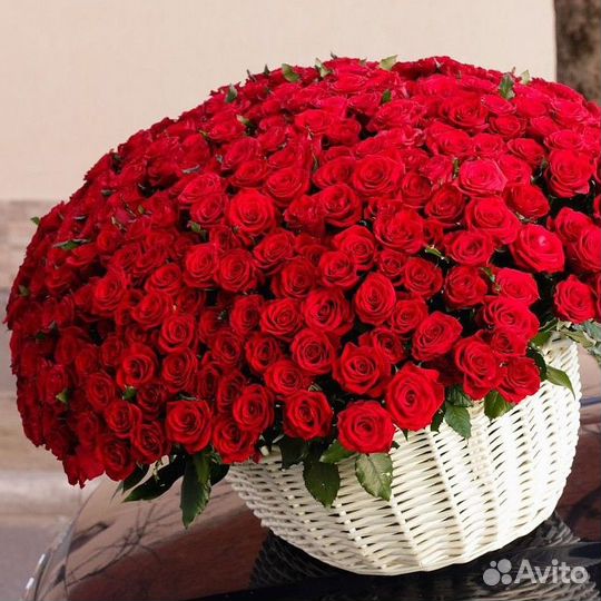 101 Роза Цветы Букеты 25 51 151 201 Розы Доставка
