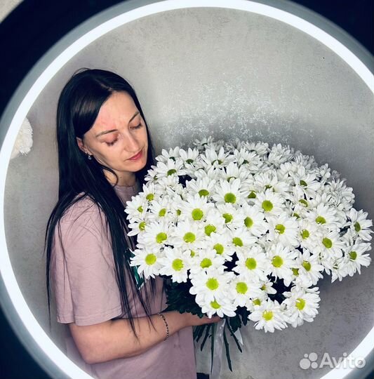 Хризантема Ромашка