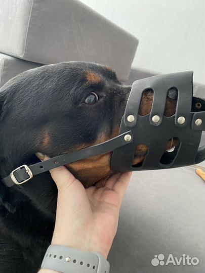 Расческа для собак