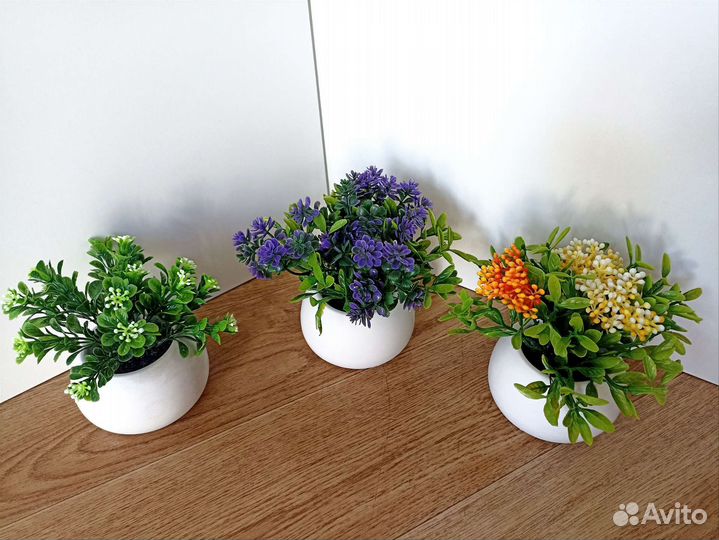 Декоративные цветы и зелень