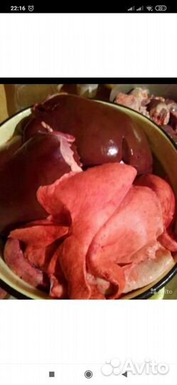 Печень, лёгкое, почки, хрящи, обрезь мясная