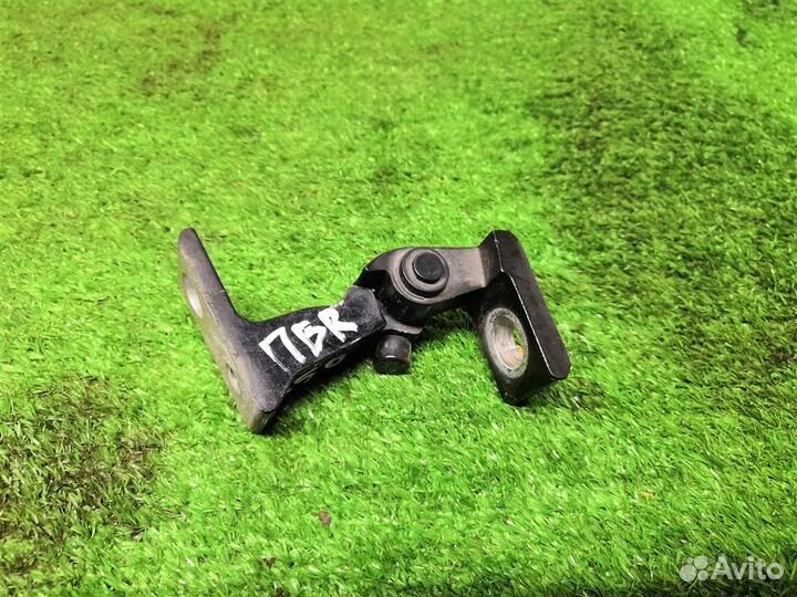 Петля двери правая Audi A5 /S5 Coupe/Sportback 20