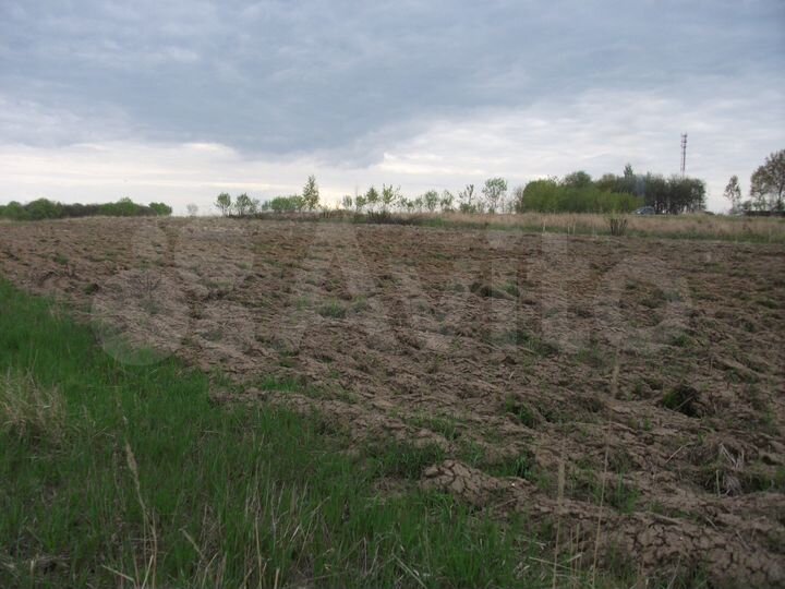 Участок 30 сот. (ИЖС)