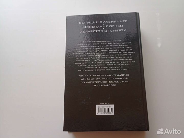 Джеймс Дэшнер Бегущий в Лабиринте