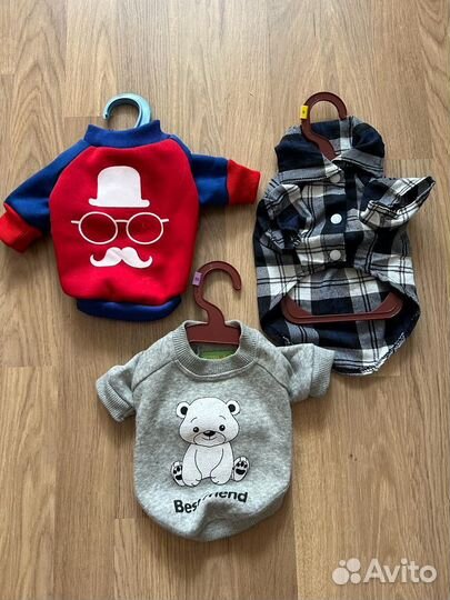 Одежда для собачки