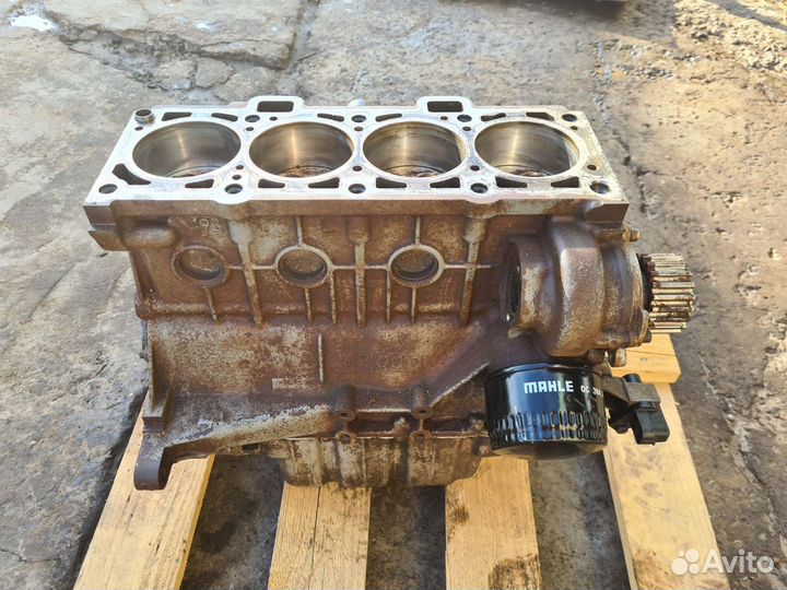 Двигатель X RAY, renault